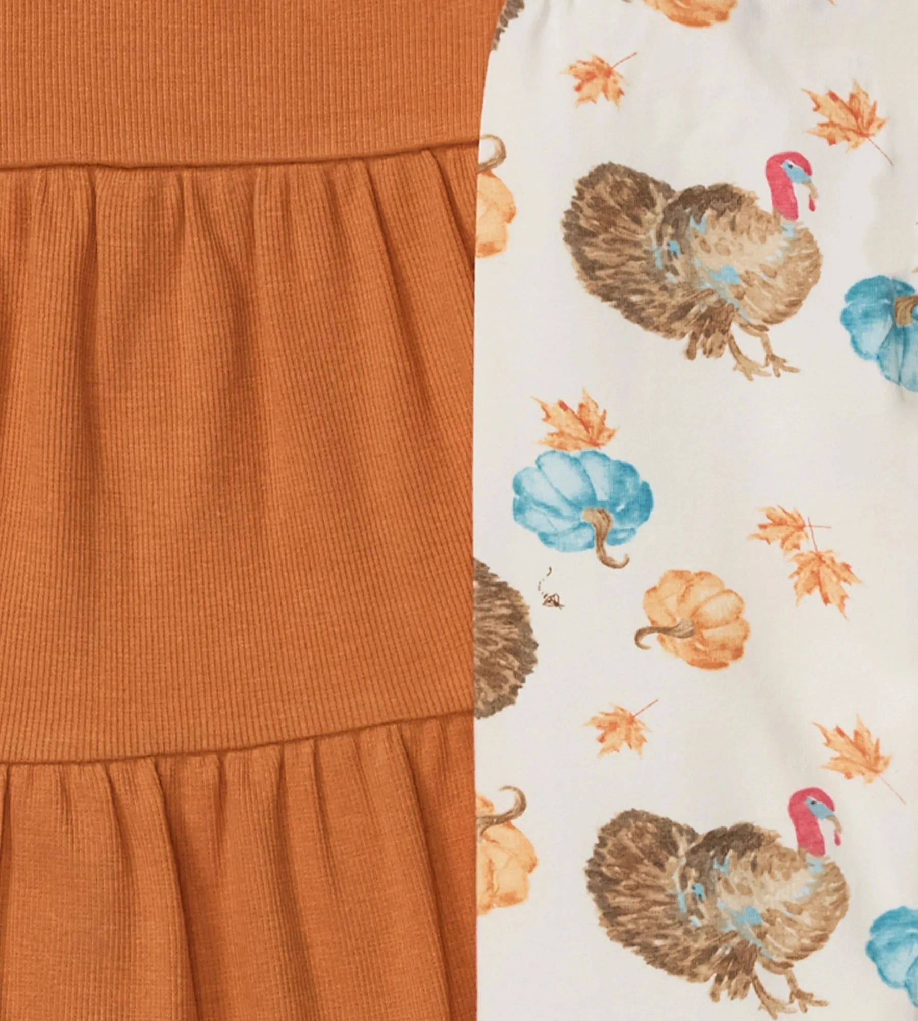 Burt's Bees Organic Baby Girl Turkey Time Shirt and Pant Set